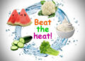Beat the Heat: Experts Offer Food Tips for Staying Healthy This Sizzling Summer