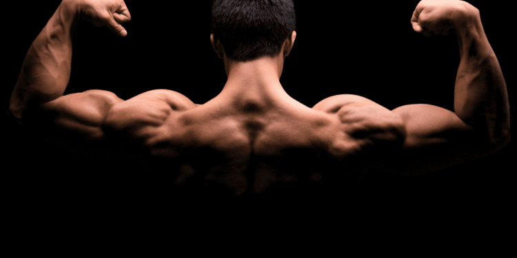 Research Peptides for Sale: Top Sources and Essential Buying Tips