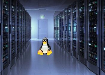 Web Hosting: A Comprehensive Guide to Dedicated Server Hosting and Linux Hosting