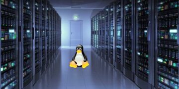 Web Hosting: A Comprehensive Guide to Dedicated Server Hosting and Linux Hosting
