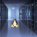 Web Hosting: A Comprehensive Guide to Dedicated Server Hosting and Linux Hosting