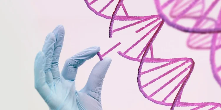 Raw DNA Upload: A Guide to Uploading Ancestry DNA to 23andMe