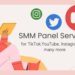 Exploring the Landscape of SMM Providers: A Complete Guide