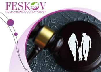 Leihmutterschaft Ukraine: Ein umfassender Leitfaden