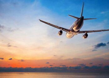 Best Tiger Safari in India: Explore the Wild Majesty of the Royal Bengal Tiger