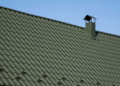 Metal Roofing Tiles Installation in Florida