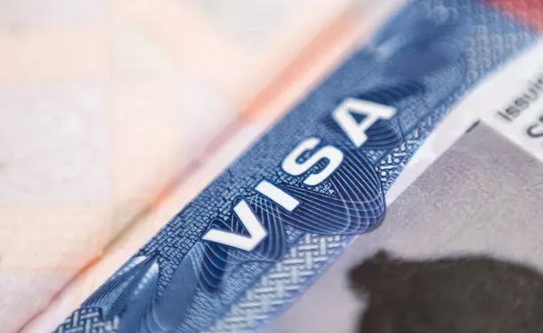 A Combined Guide: Indian e-Visa for Costa Rican & Dominican Citizens