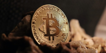 HashNet Mines Seven Coins at Once. You Just Receive Bitcoin.